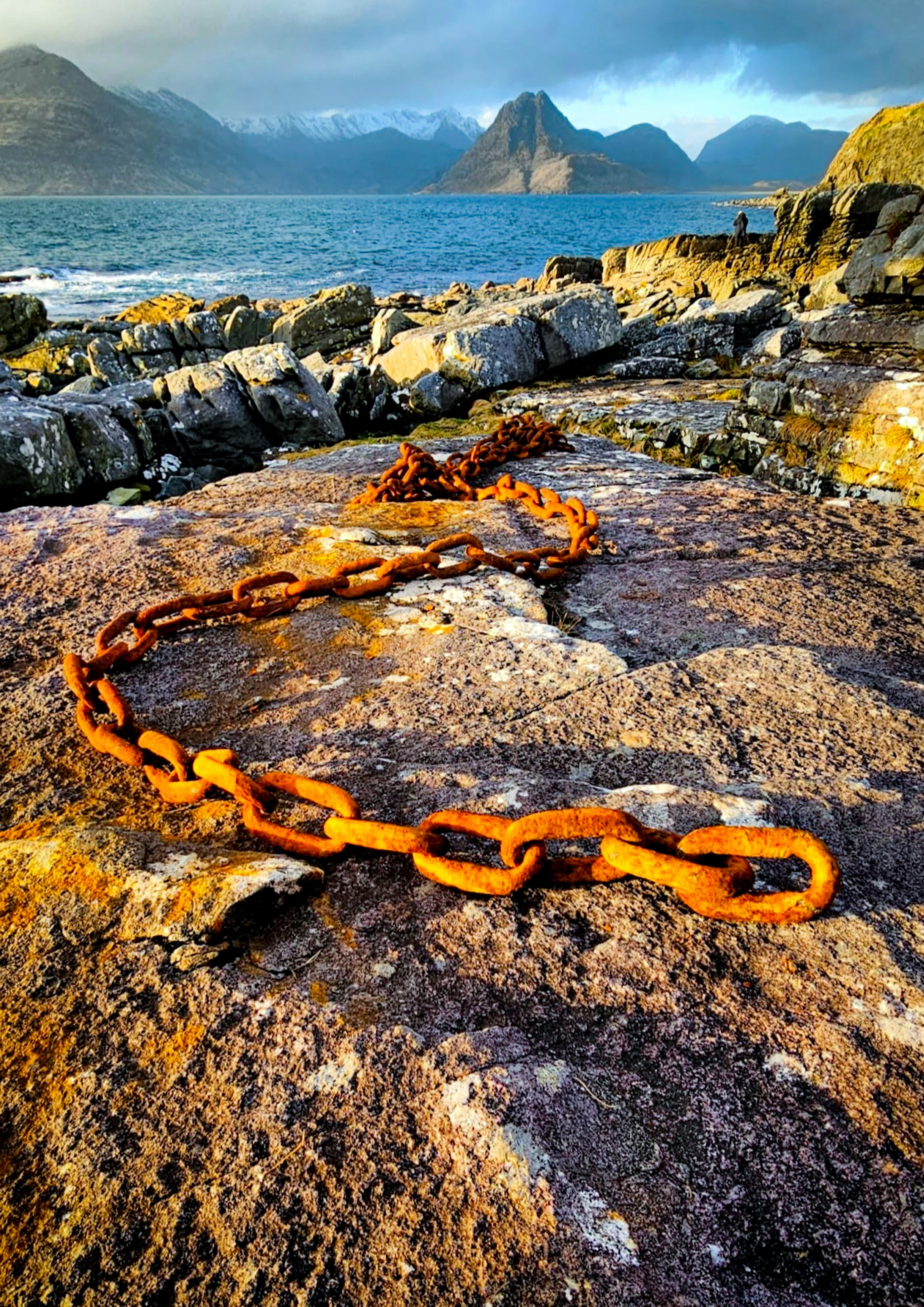 The Scottish collection