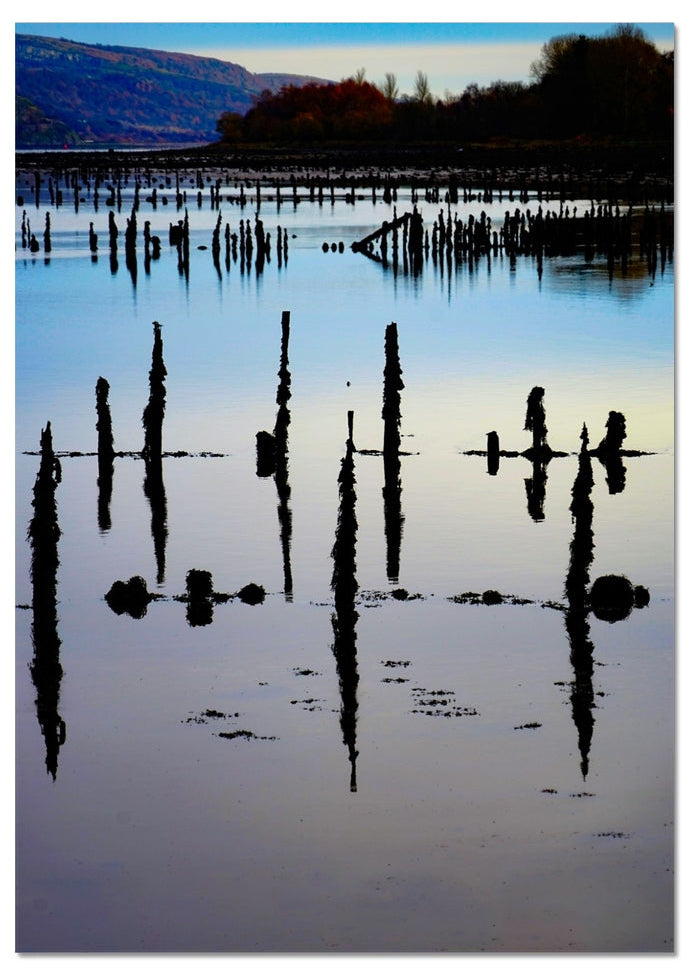 Fine art photograph of the historic Timber Ponds in Port Glasgow, with weathered timber piles reflected in the calm waters of the River Clyde.