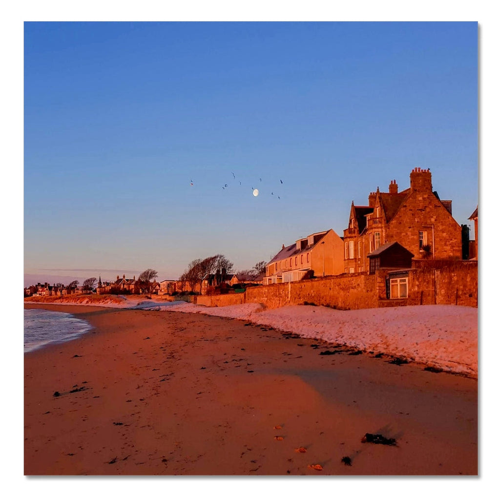 Beach and village edge at Earlsferry, Fife, with houses catching early light and the moon visible, completing a four-image panoramic coastal photograph.